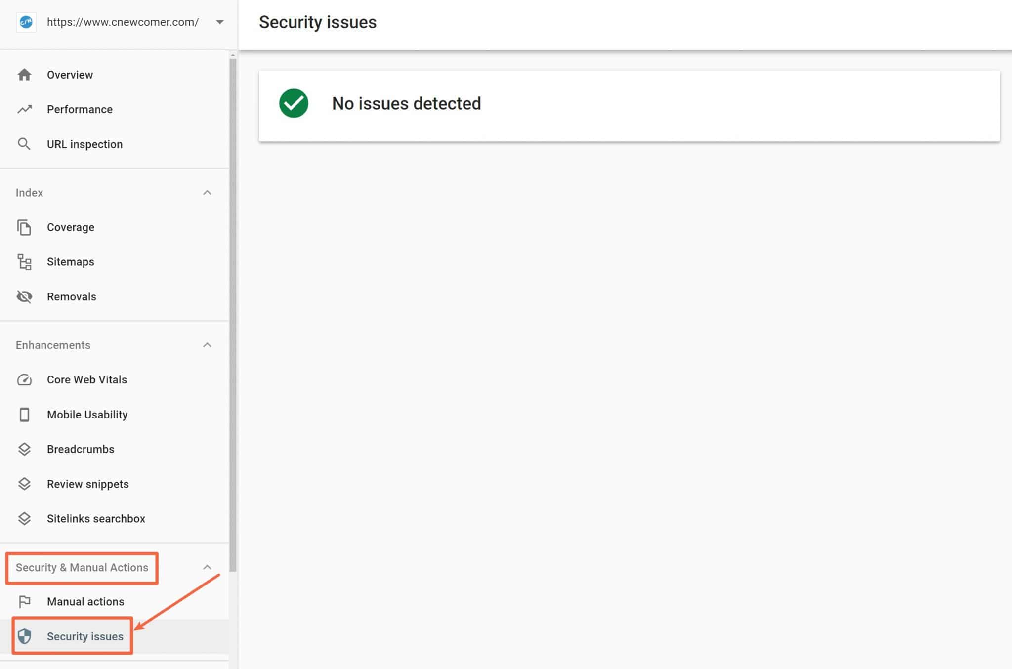 Security issues in search Console