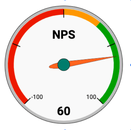 WP Rocket NPS Score