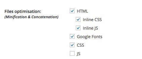 WP Rocket Inline Minification CSS and JS
