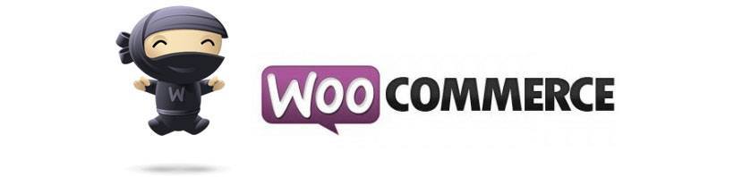 Using WooCommerce Dynamic Cart and WP Rocket