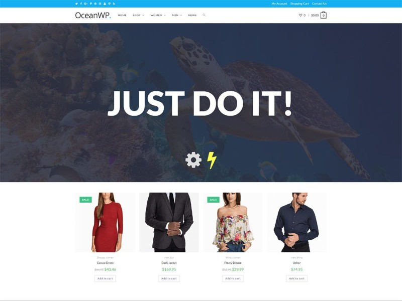 Which-are-the-fastest-free-WordPress-Themes-OceanWP