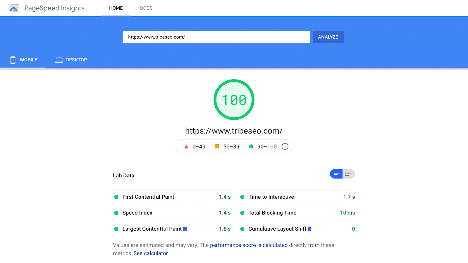 100 PageSpeed Insights score
