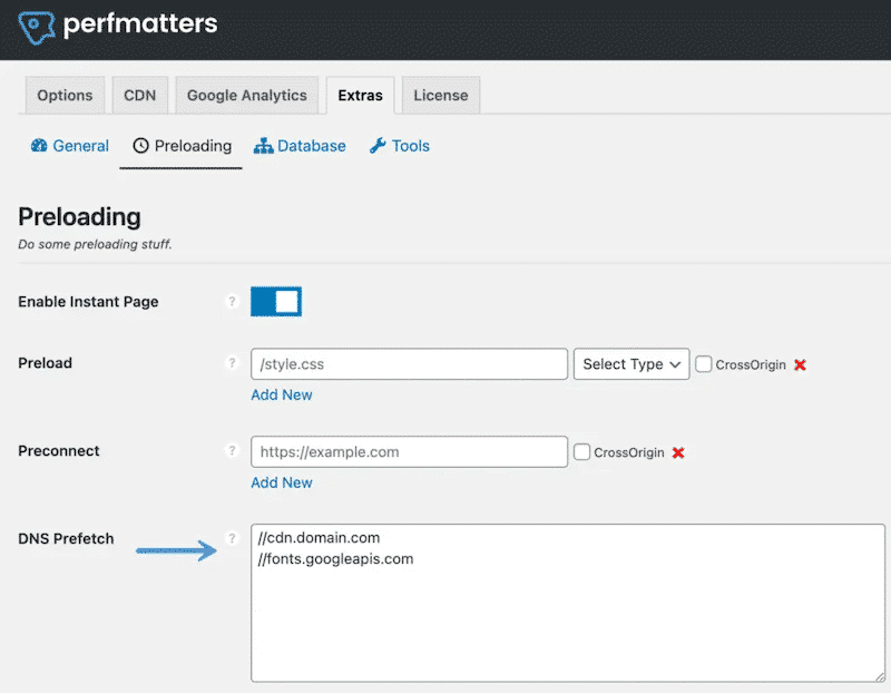 DNS prefetch option - Source perfmatters WordPress plugin
