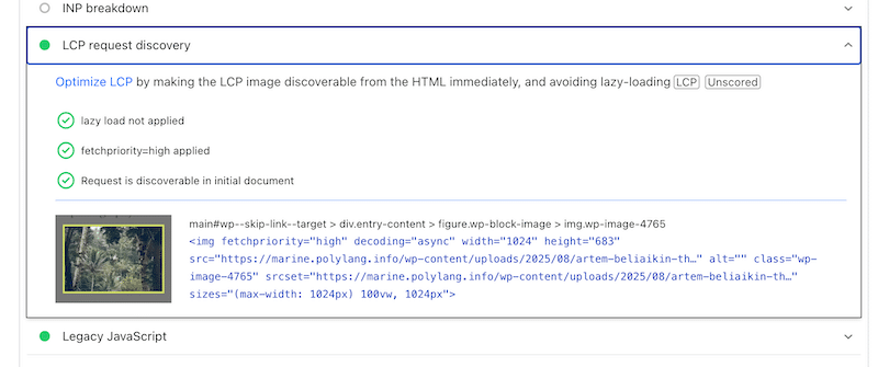 LCP request discovery in the Passed Audit with the LazyLoad plugin - Source: PageSpeed Insights