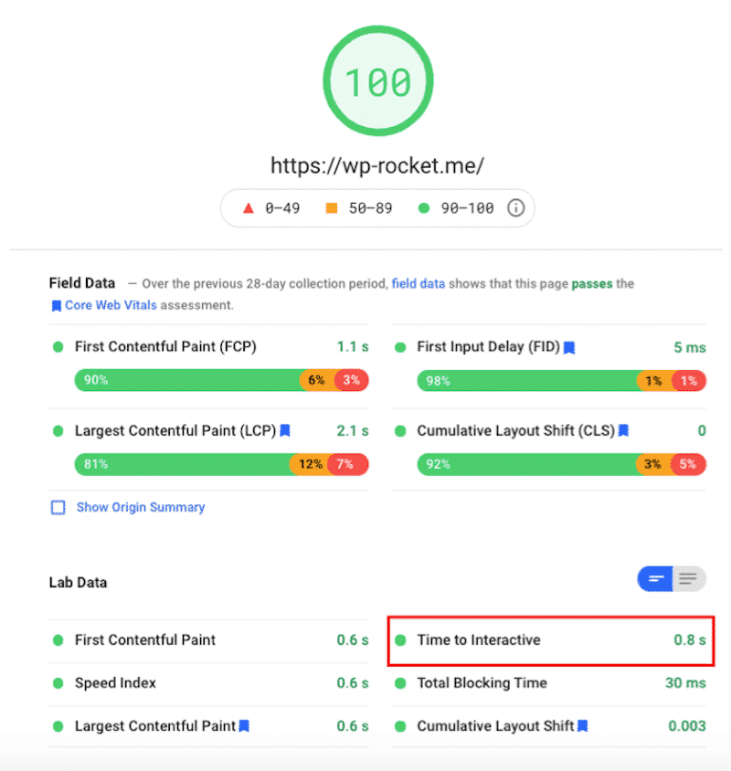 Performance score performed by Lighthouse including TTI - PSI
