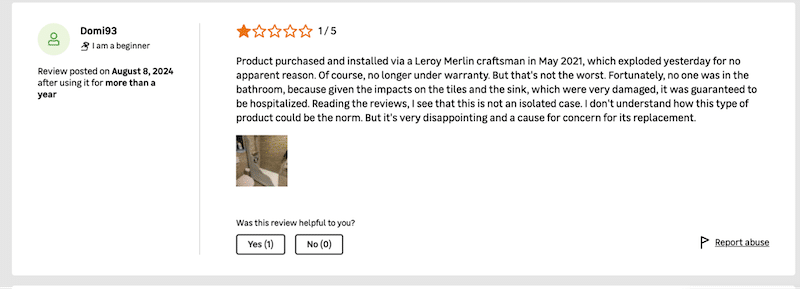 Example of a customer review with photo - Source: leroymerlin

