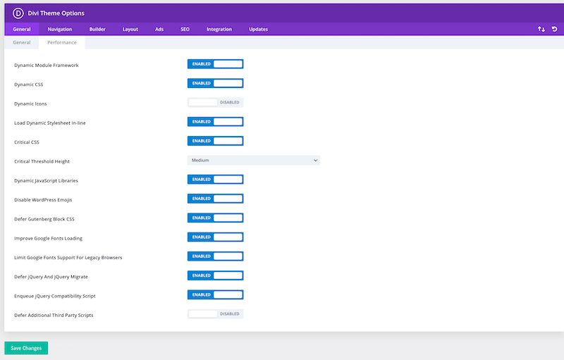 Performance tab implemented by the Divi Team - Source: My WordPress dashboard
