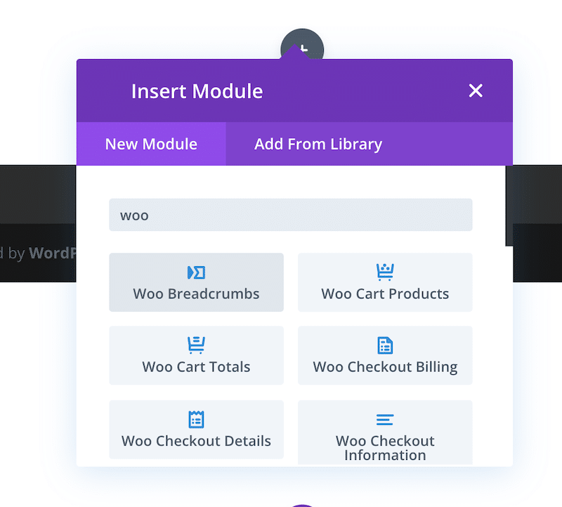Source: Divi WooCommerce Builder
