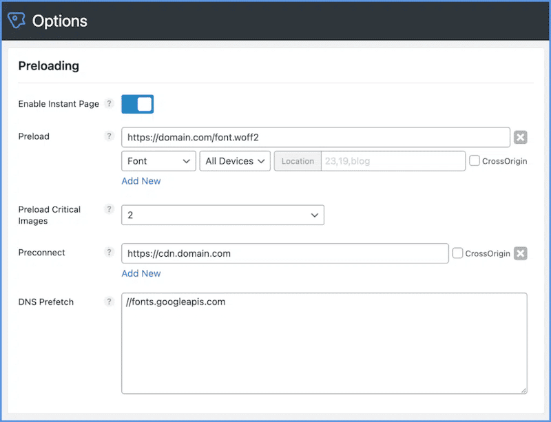 Preconnect hint - Source: Perfmatters
