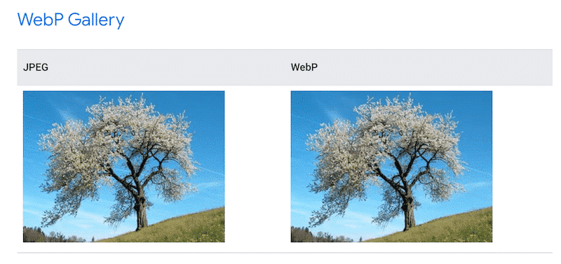 Unaltered image quality (JPEG vs WebP) - Source: Developers.Google
