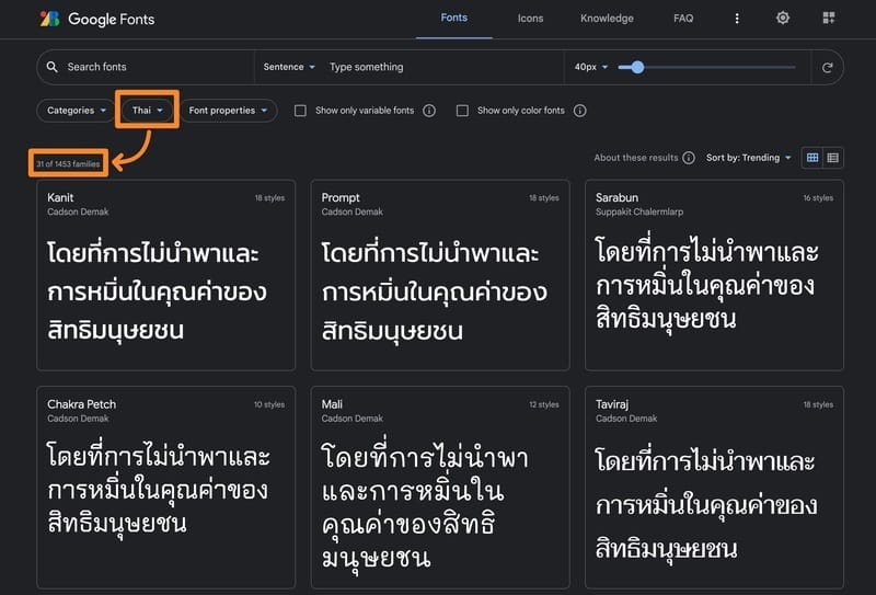 Google fonts check