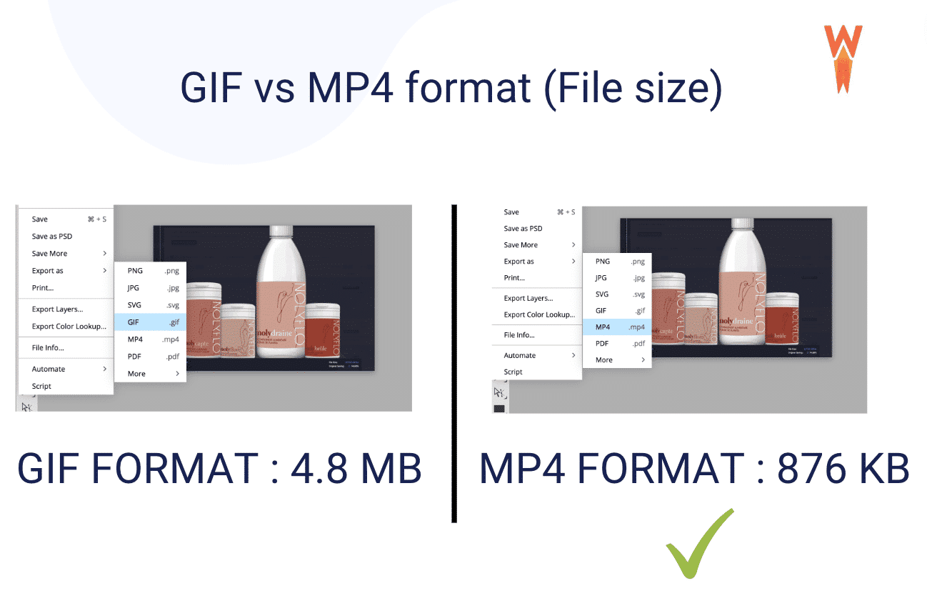 GIF vs MP4 file size - Source: WP Rocket