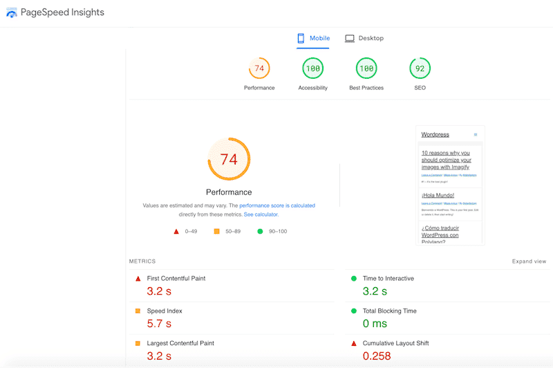 Performance results without WP Rocket - Source: PageSpeed Insights
