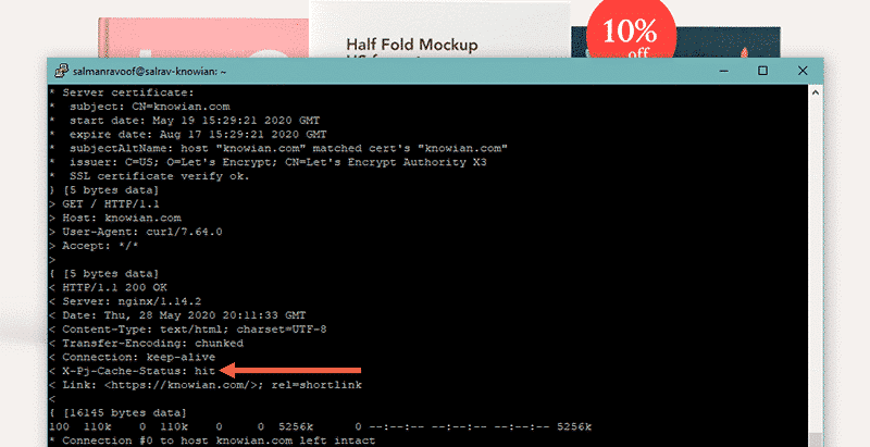 Checking the cache status directly inside the terminal