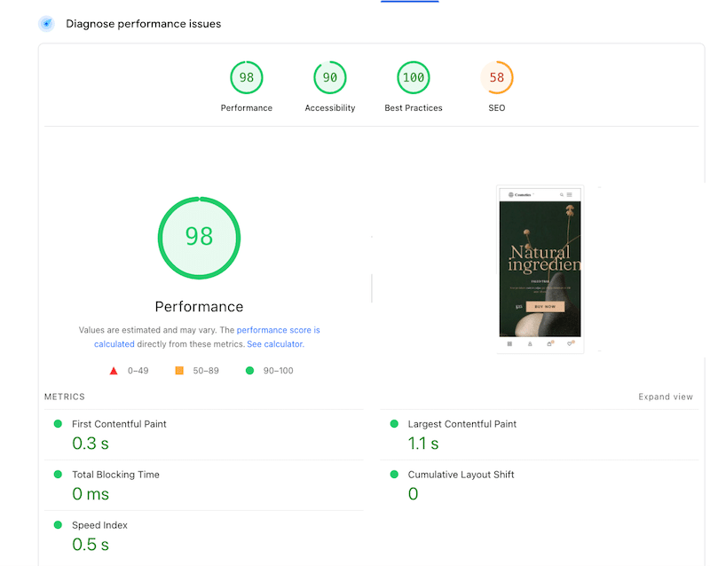 The BeTheme test site scores 99/100 with WP Rocket - Source: PageSpeed Insights