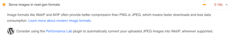 Google’s recommendation: Serve images in next-gen formats - Source: PageSpeed Insights
