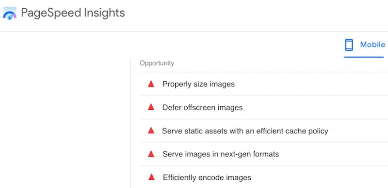 Image-related issues from PageSpeed Insights - Source: PageSpeed Insight