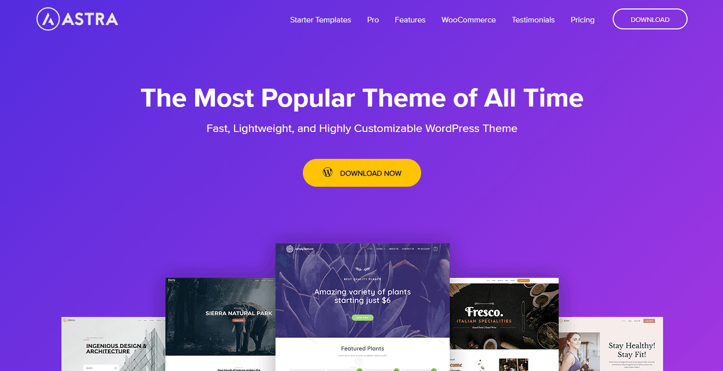Astra is a popular, lightweight WordPress theme