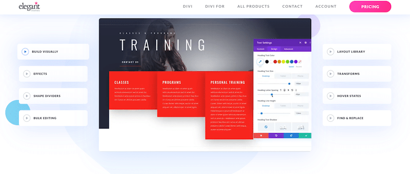 One of the most popular responsive theme with a powerful visual page builder - Source: Divi

