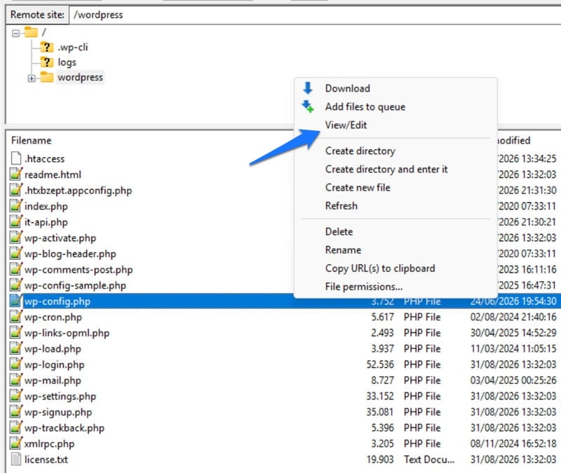 wp config file on server