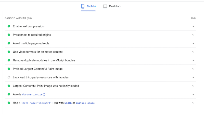 The Passed audits section - Source: PageSpeed Insights
