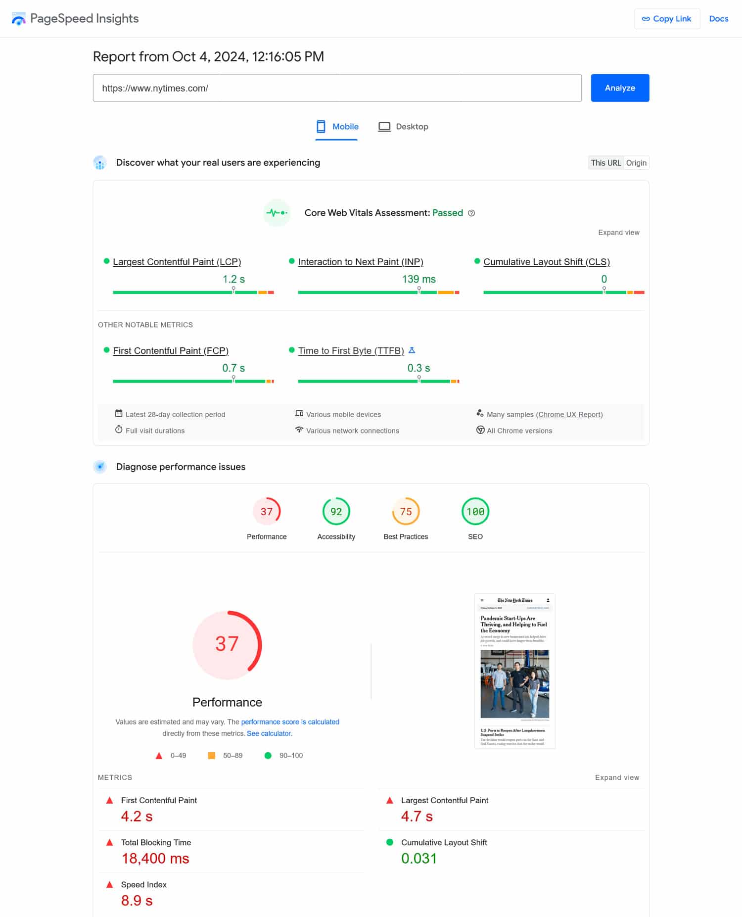 Pagespeed Insights analysis results