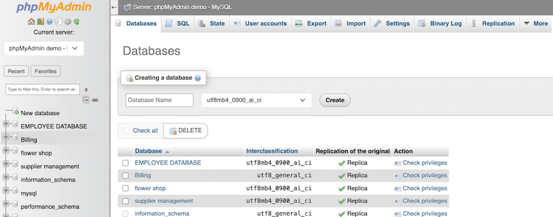 Locating the database matching my WordPress site - Source: phpMyAdmin

