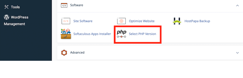 Software submenu to update the current PHP version - Source: cPanel
