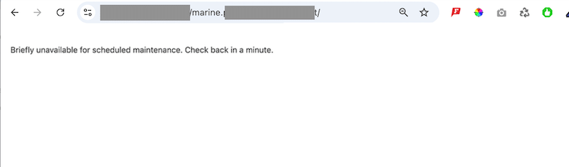 Example of “Briefly unavailable for scheduled maintenance. Check back in a minute” issue - Source: my WordPress installation
