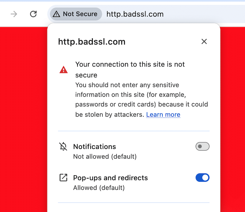 Example of unsecured connection - Source: badssl 
