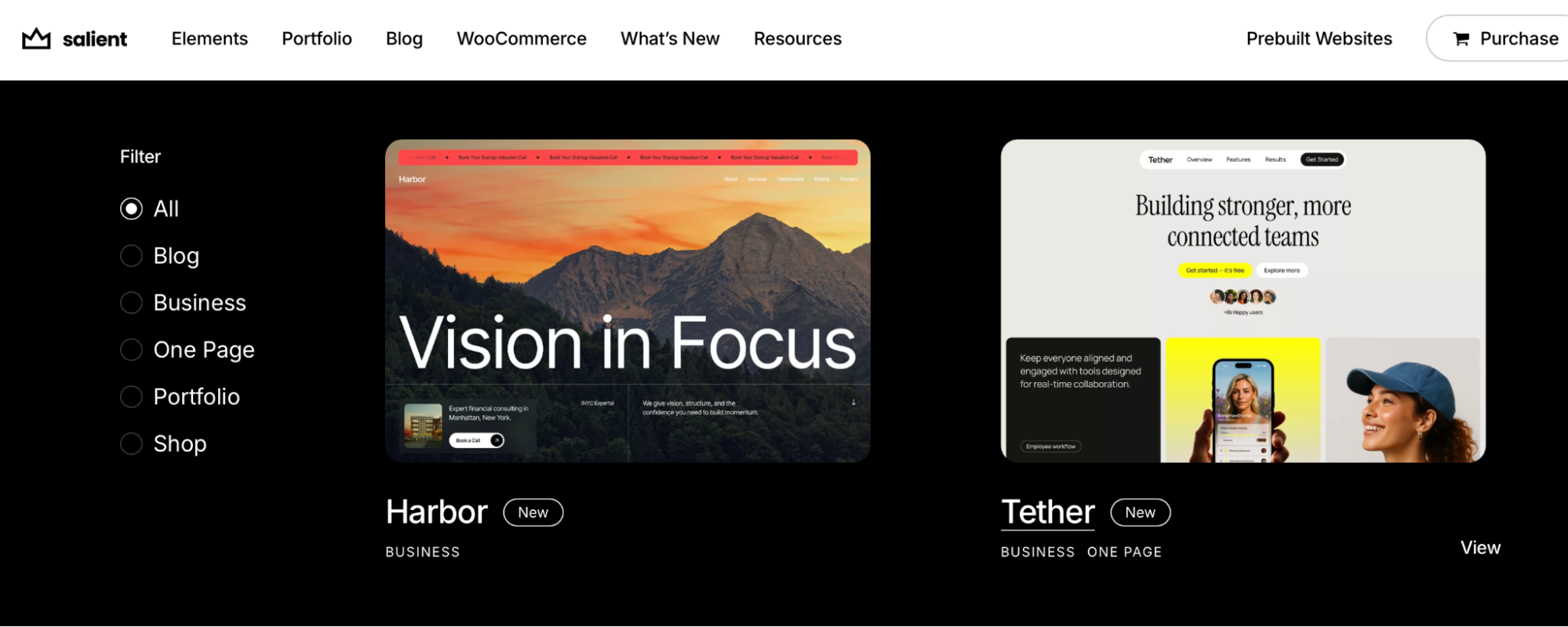 Salient theme