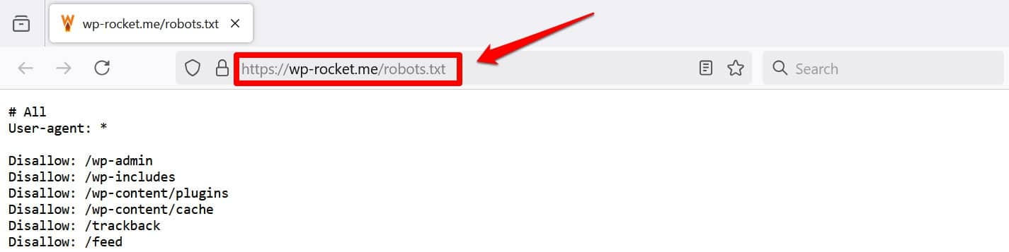 View robots.txt file via browser