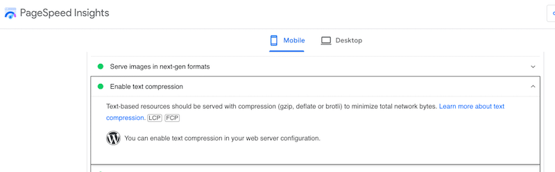 Checking Gzip compression with PageSpeed Insights (passed audit section - Source: PageSpeed 