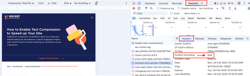 Checking if Gzip is enabled via the dev tools - Source: WP Rocket 