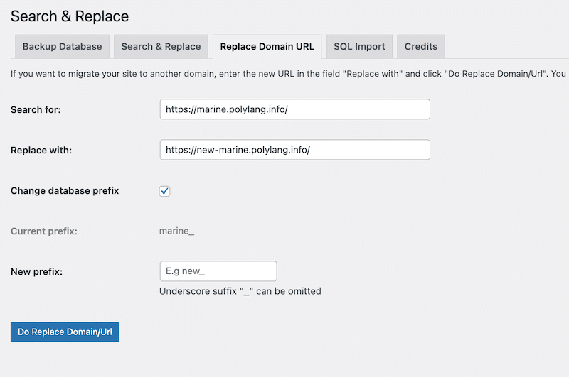 Search and replace domains and URLs on WordPress - Source: Search & Replace admin 