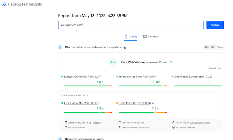 Running an audit with PSI - Source: PageSpeed Insights
