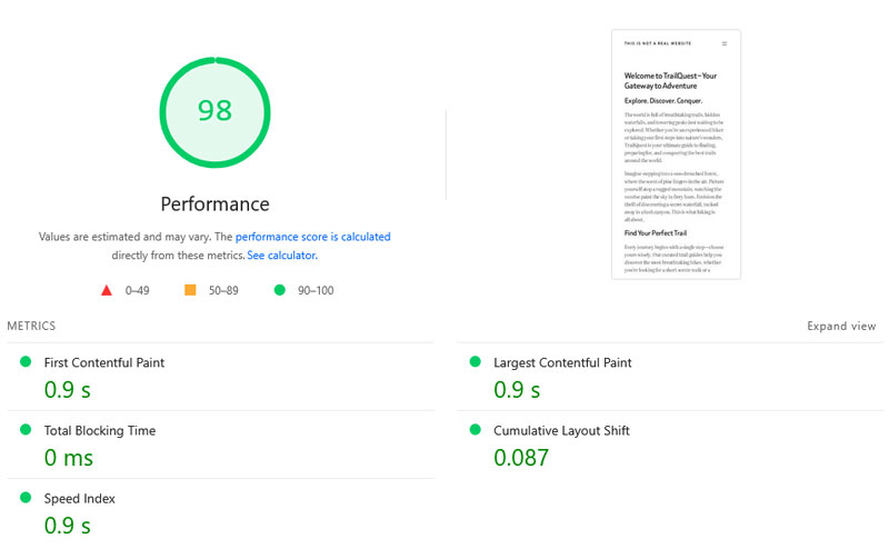 test website final performance audit