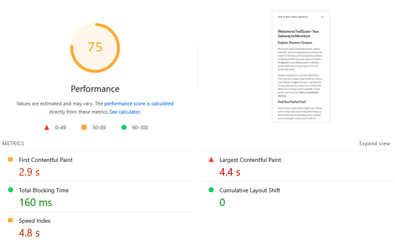 test website initial performance audit