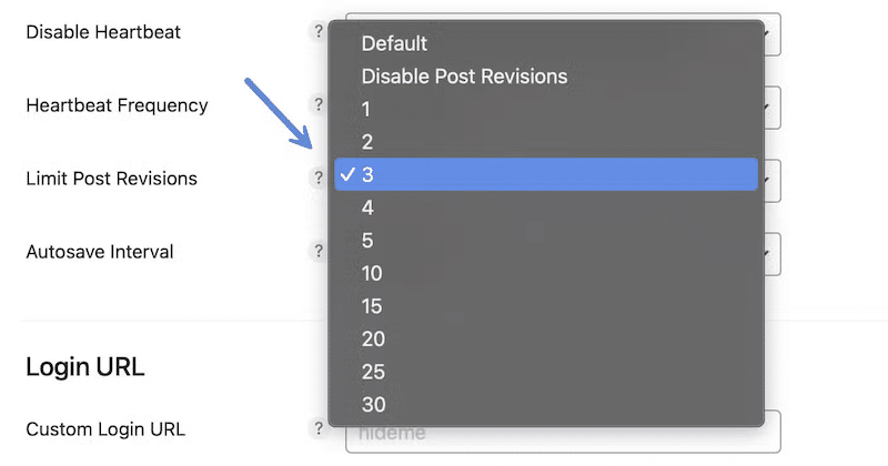 Optimizing WordPress DB with Perfmatters - Source: Perfmatters