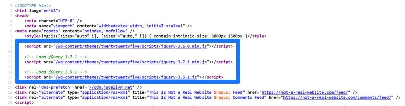 duplicated javascript calls in page source