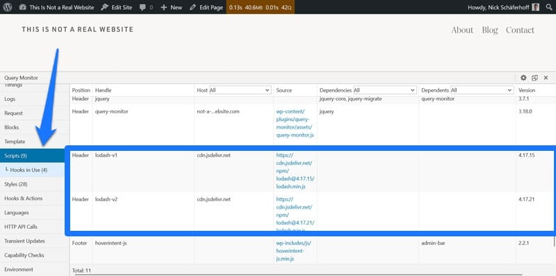 duplicated javascript visible in query monitor