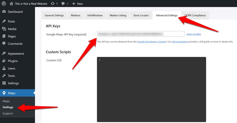 paste api key in wp go maps