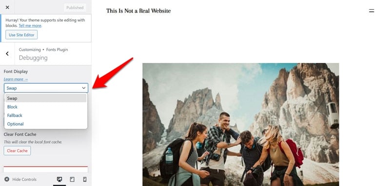 font display plugin settings