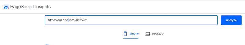 Add your URL - Source: PageSpeed Insights