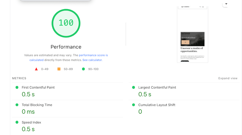 Performance results (after optimization) - Source: PageSpeed Insights