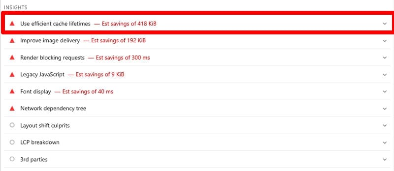 use efficient cache lifetimes insight in pagespeed insights
