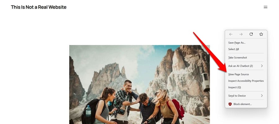 view website page source in browser