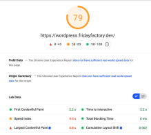 my-website-before-wp-rocket-psi-report