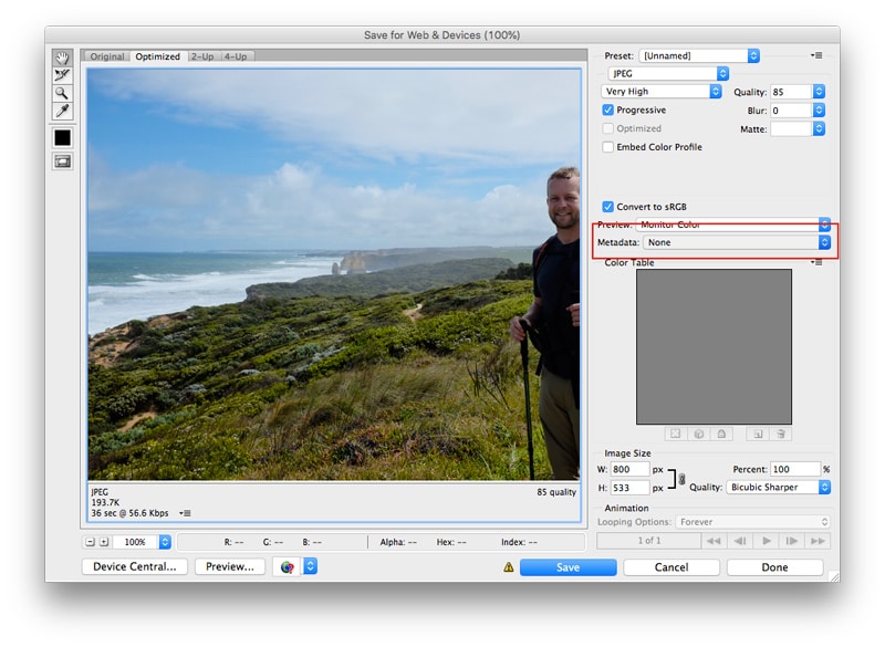 Photoshop の「Web 用に保存」でメタデータを「なし」に設定した画面